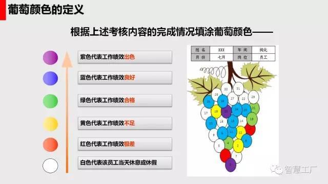 员工绩效管理的利器-葡萄图管理法