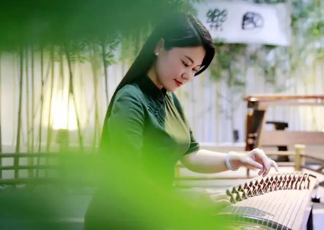 琴美人︱琴筝和鸣,一路同行--寻雅
