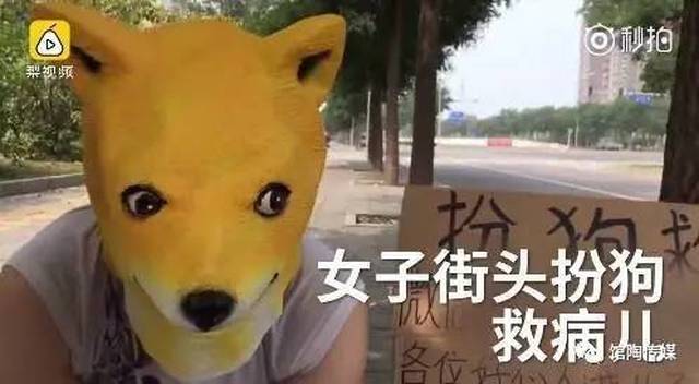 心疼!为救2岁重病儿,母亲跪街头扮狗学狗叫