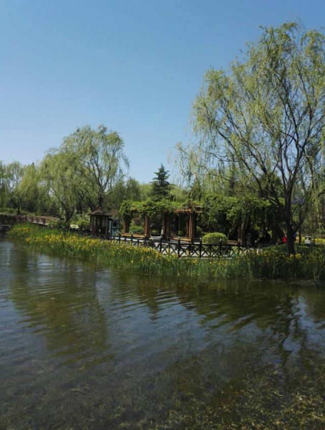 北京最美的郊野公园——古塔公园,来了就不想走!