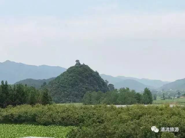 相传古时有一高人想赶一座山去林畲,使林畲的水向东流,但在玉皇大帝的