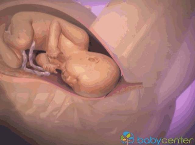 女人生产全过程!妈妈痛不欲生时,宝宝竟在子宫里