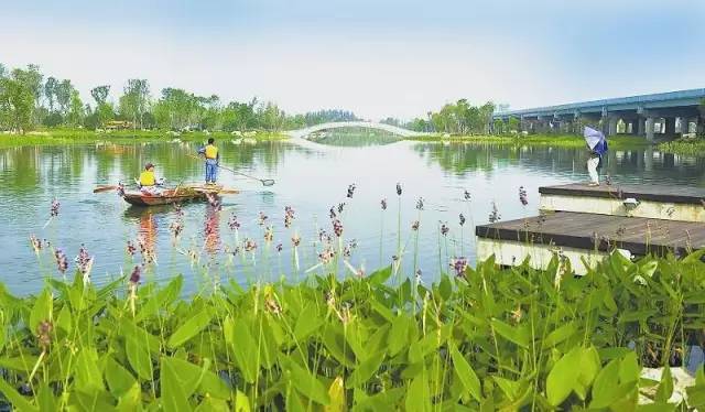 澳门面积多大一平方公里有多少亩 a34241d499f646dab8b5cdad10d18f19.jpeg