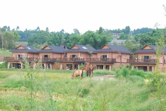 推荐民俗明星大餐音乐江津区首届稻田农耕音乐节与你有约