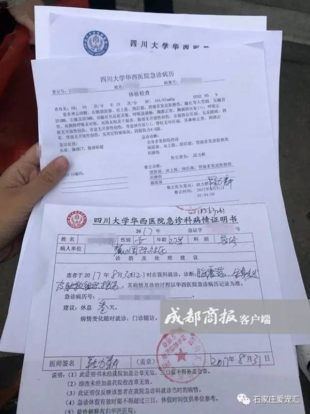 女主播遛狗不牵绳遭到暴打至毁容,谁之过?