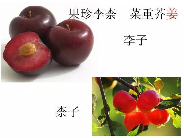 品读经典系列之《千字文》第10集 果珍李柰,菜重芥姜._手机搜狐网