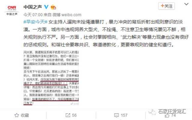 女主播遛狗不牵绳遭到暴打至毁容,谁之过?