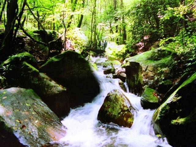 漂流游览区:青龙峡漂流,有"滇中第一漂"情趣,是最富有店铺的旅游项目.好情趣淘宝有之称什么的图片