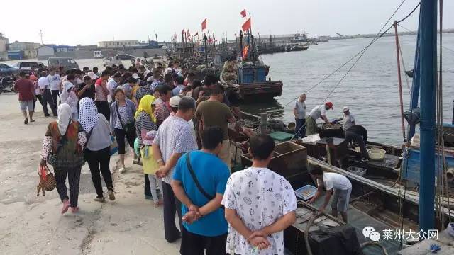 胶东大院的海鲜vs别人家的海鲜弱爆啦.