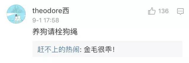 美女主播在自家小区被人暴打,竟是因为“暖男”大金毛……