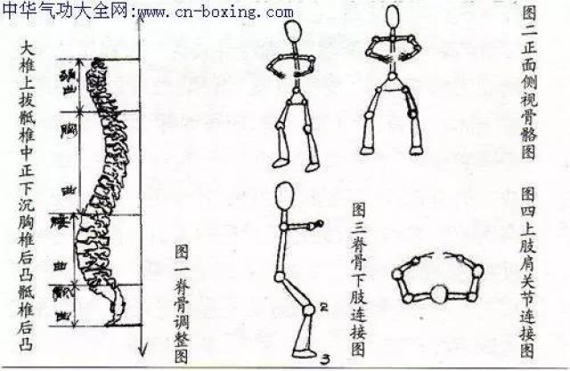 传统武术的核心秘密---尾闾中正神贯顶