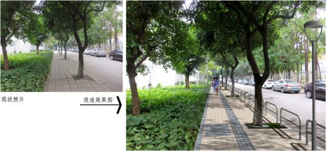 设花基,划通道,修剪行道树……张槎这8条道路将有大变化!