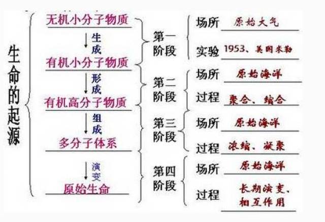 【九人杂谈】生命的奥秘——化学起源说