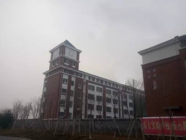 该项目是由淄博东方星城置业有限公司负责建设, 自2016年3月底开工
