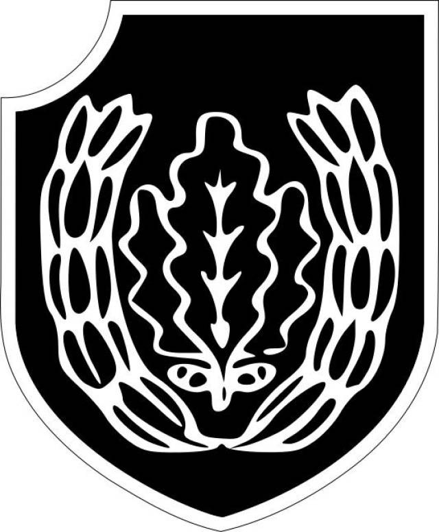 武装党卫军三十八个师徽标合集(上)