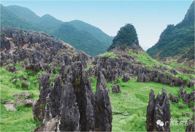史上最"高颜值"鹿寨旅游推介会惊艳首府南宁!