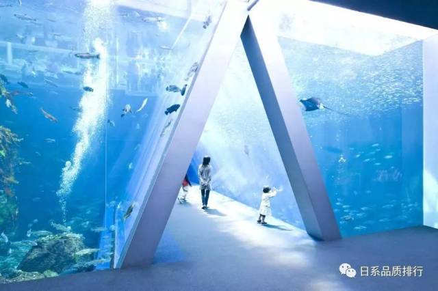 日本最好玩的10个大型水族馆,有时间一定要来看看!
