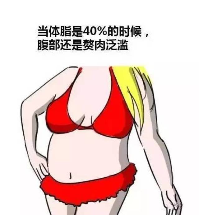 体脂多少可以看到腹肌,一组男女体脂对比图献给大家