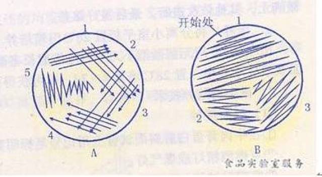 图1 分区划线法是将平板分四区,故又称四分区划线法.