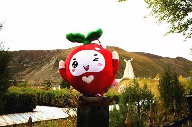 请让我做你的眼