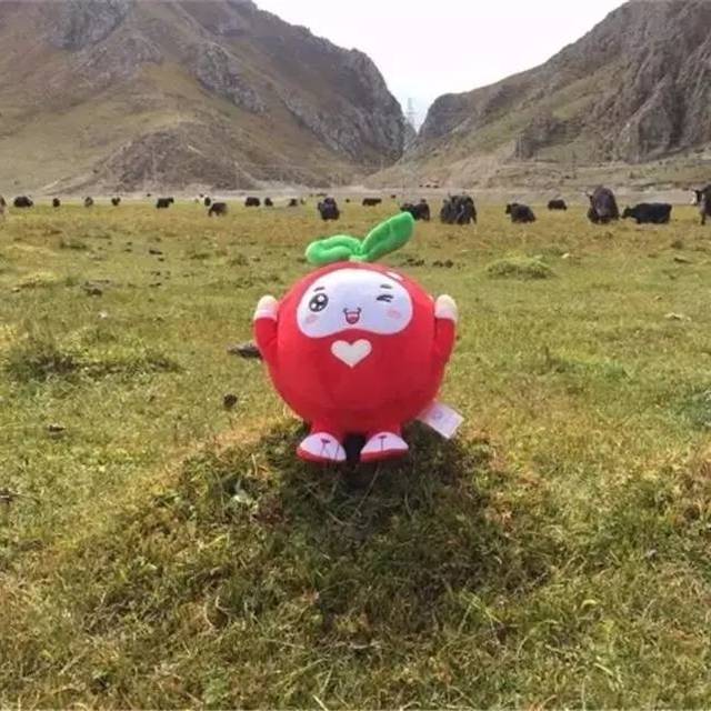 请让我做你的眼