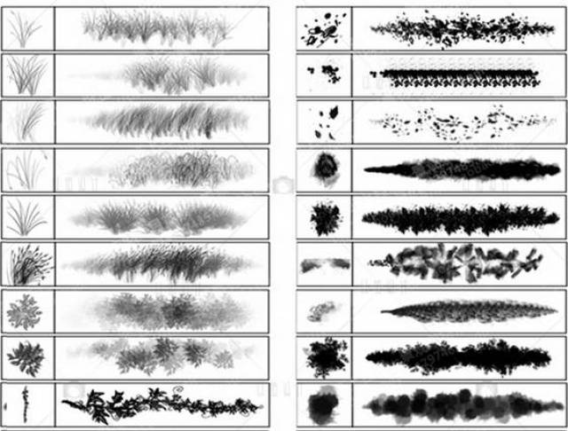 以下为部分效果展示! 植物-笔刷  单株的,一丛的,平面