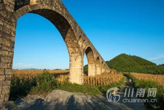 行摄:走进叙永云山坝,看"坝中之王"金色秋景!