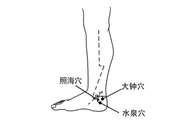 肾经的易堵塞穴位是「大钟穴」,「水泉穴」和「照海穴」.