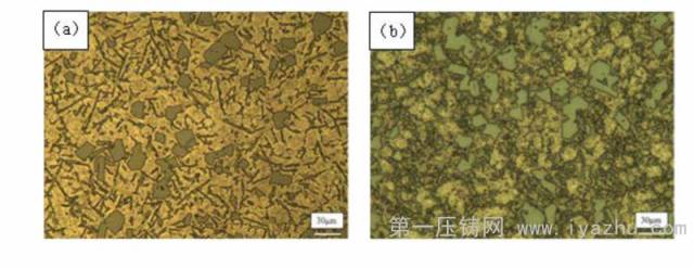 不同铸造方式下合金的金相组织 (a) 重力铸造 (b) 压力铸造