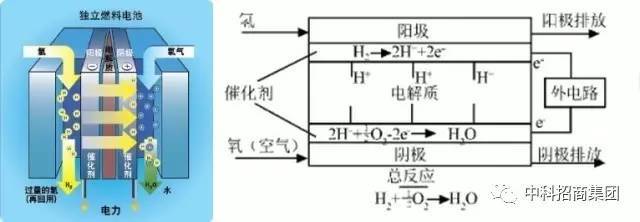 四,工作原理 氢气燃料电池本质是水电解的"逆"装置,主要由阳极,阴极