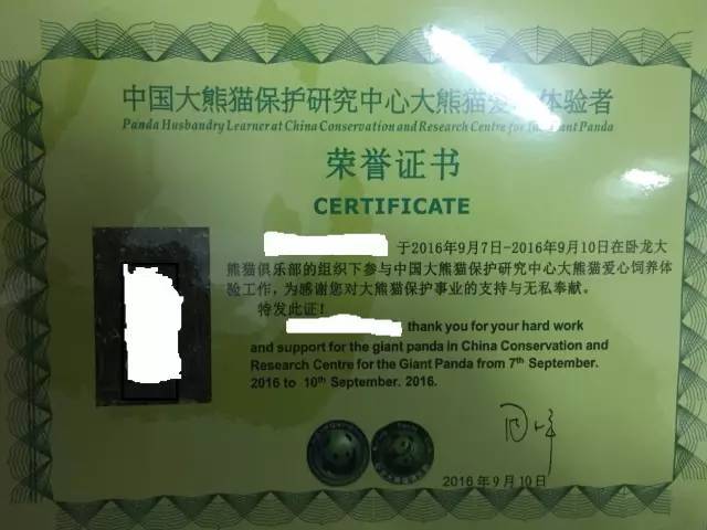 中国大熊猫保护研究基地国际志愿者证书模板1