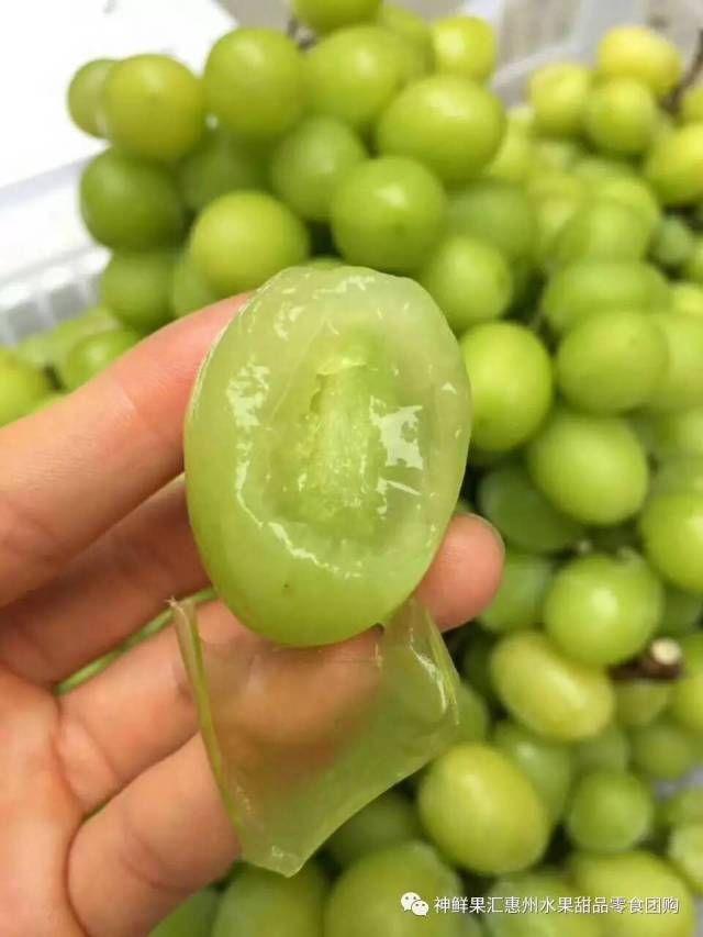 266团:小蜜蜂蛋糕15元\/个,加5元多一个!水果礼