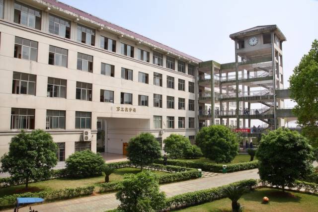 麓山国际实验学校