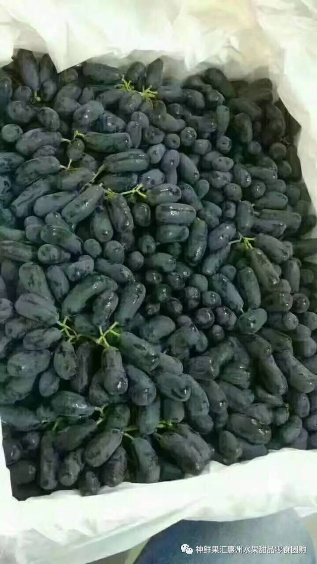 266团:小蜜蜂蛋糕15元\/个,加5元多一个!水果礼