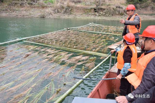 浙江仙居人工鱼巢建设及效果评估项目顺利通过验收