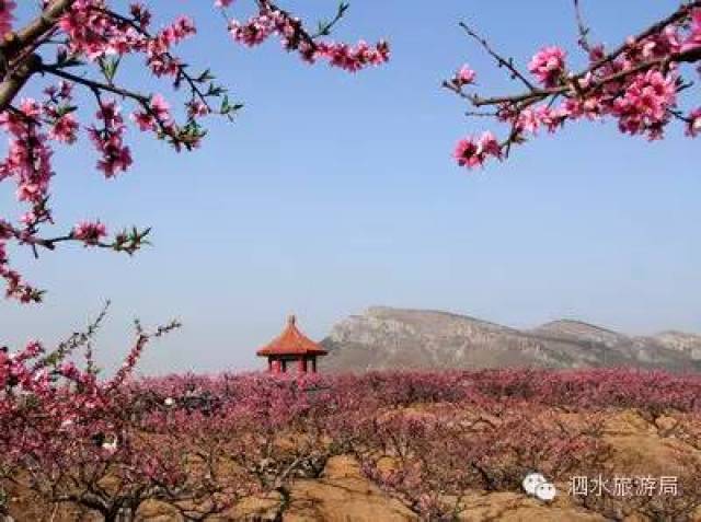 泗水县精心打造圣地桃源乡村旅游集聚区