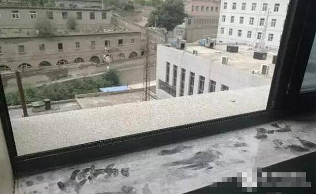 你们都认为另待产孕妇跳楼身亡 是她老公 其实另有隐情