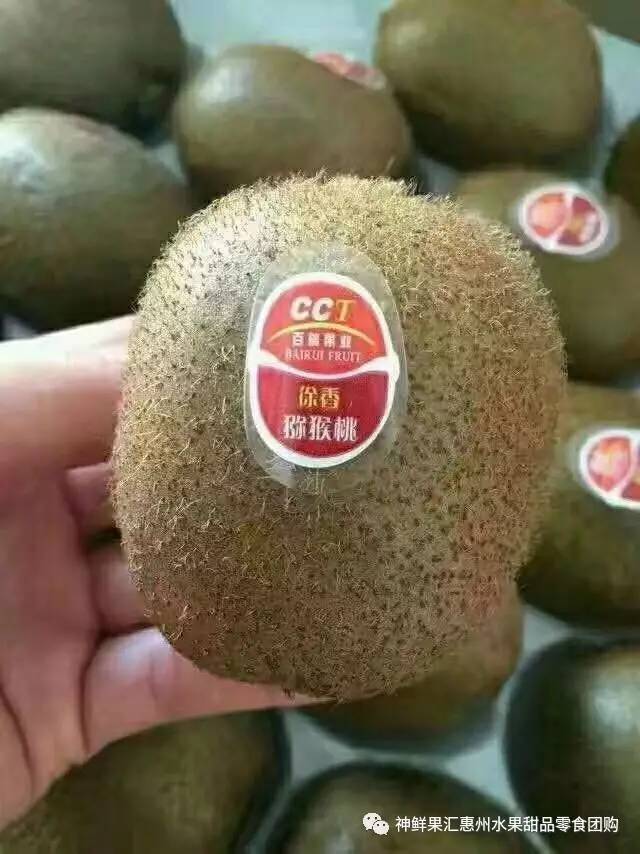 266团:小蜜蜂蛋糕15元\/个,加5元多一个!水果礼