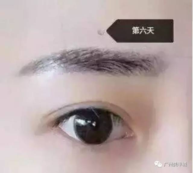 关于纹眉,就不得不说下反色期,想做纹绣的要懂