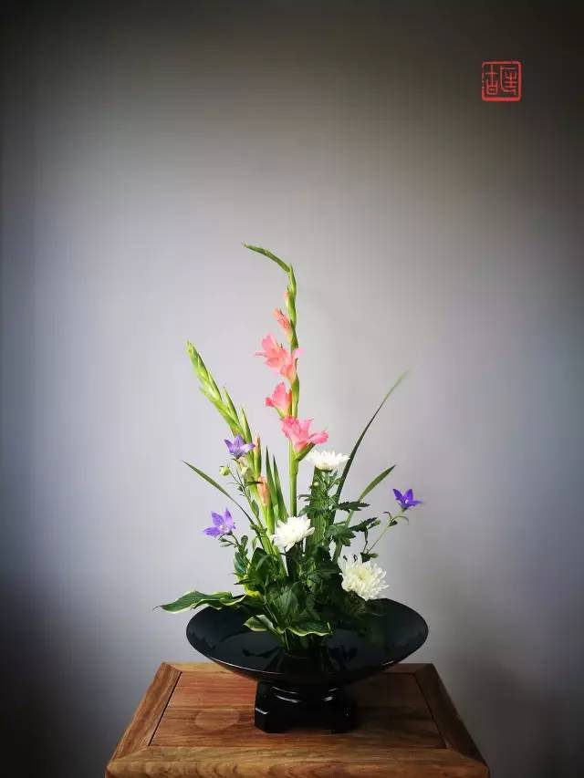 善因华道盘花直态,唐菖蒲,桔梗,白菊,金边玉簪.