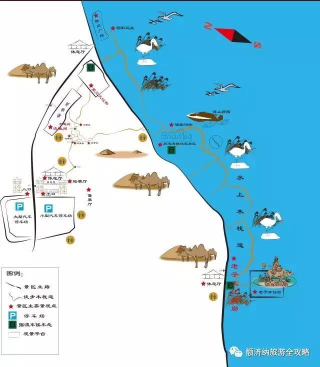 这个秋天教你玩转额济纳:第二站 居延海