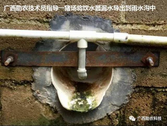 现代生态养殖场为什么要提倡改造自动饮水器,需要花多少投资?