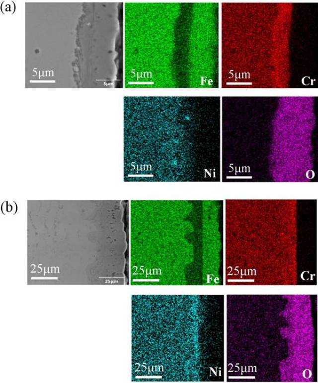 a和b图中有fe,cr,ni,o元素的eds图像,分别暴露在550℃和600℃ scw中