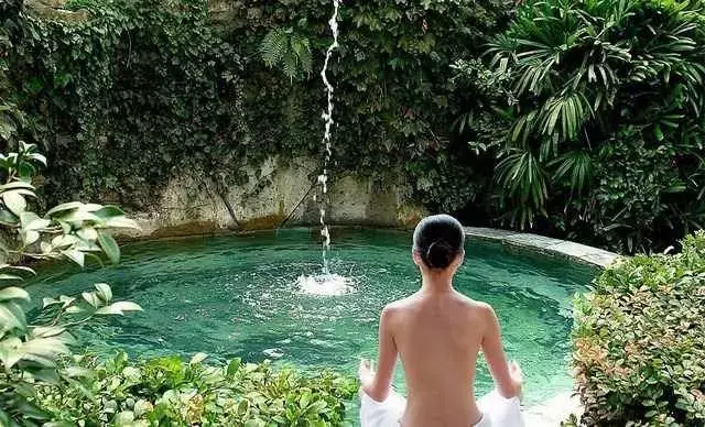 一只鸟飞温泉池猜一成语_一个人一只鸟成语猜图