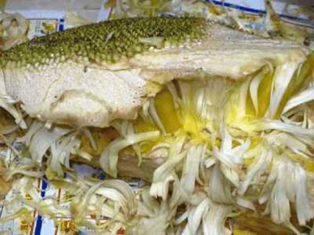 如何快速切开菠萝蜜不黏手?