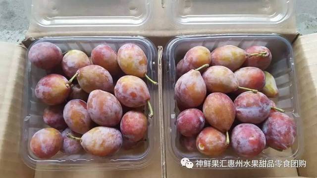 266团:小蜜蜂蛋糕15元\/个,加5元多一个!水果礼