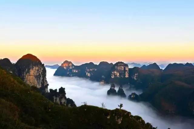 大方县油杉河景区简介