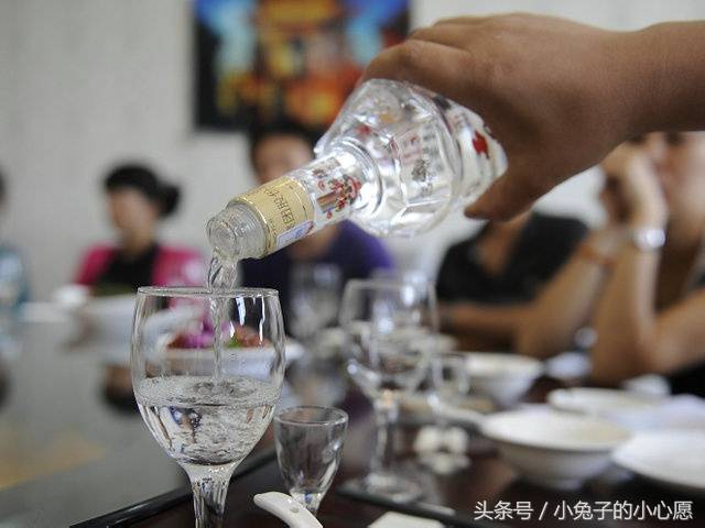 盘点世界上最爱喝酒的十大国家 饮酒文化源远流长