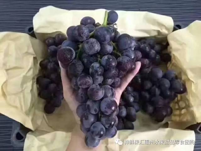 266团:小蜜蜂蛋糕15元\/个,加5元多一个!水果礼