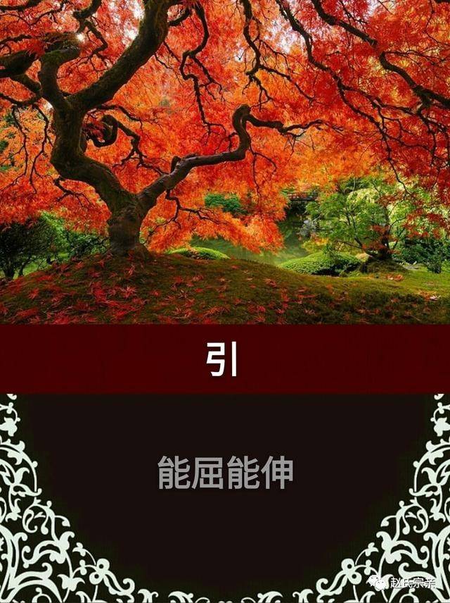 做人要能屈能伸.